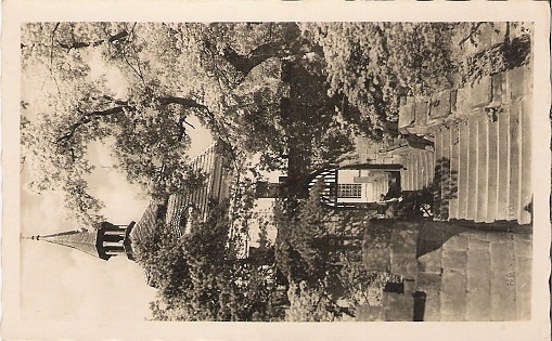 sejmout0077