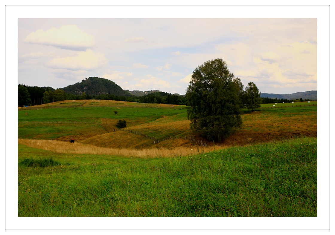 IMG_5835 (2)